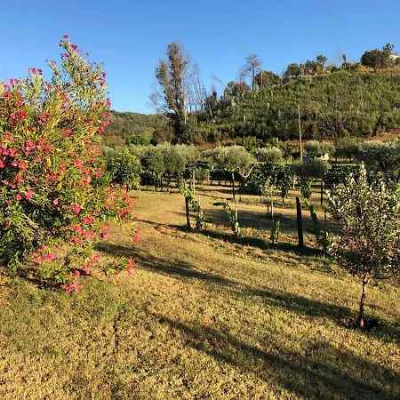 Casa Da Menina Holiday home Anceriz
