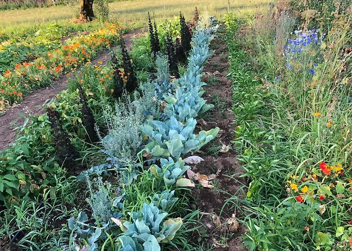 Casa Da Menina 別荘 *